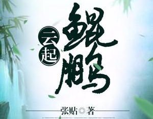 《问道鲲鹏变任务攻略》(鲲鹏变任务攻略,助你玩转问道)