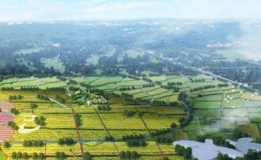 黄鸡攻略(打造最强黄鸡战队,装备选择不能掉以轻心)