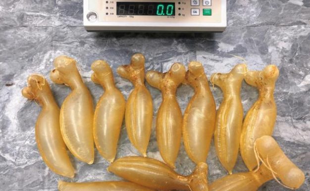 《飞天蜘蛛出装攻略最新》（了解如何为飞天蜘蛛选择最佳装备，提升游戏实力！）