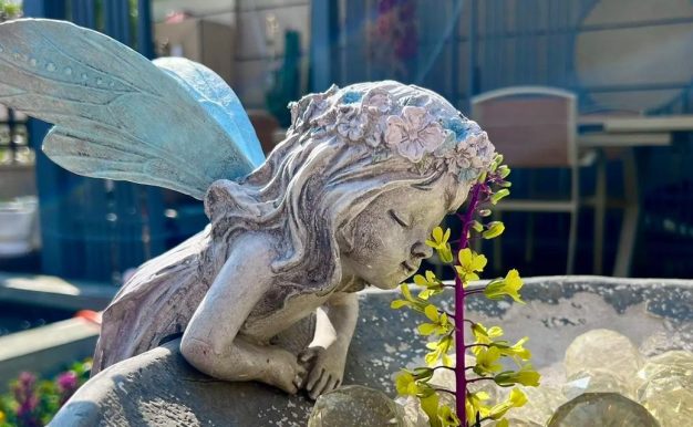 花园拍照攻略(流行穿搭,美美留影,共赏花园时光)