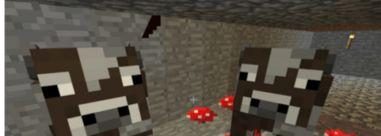 牛怎么带回 我的世界,探索我的世界中的自然循环与生态平衡