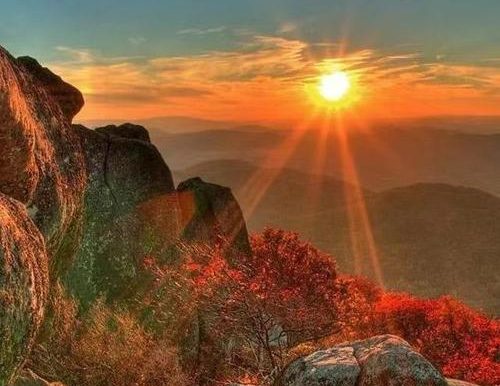 无我之境庄子出装攻略(探索无我之境,提升英雄实力)