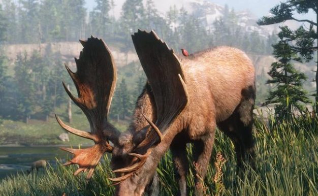 魔兽世界中野生火鸡捕捉位置一览(探索火鸡的狩猎地,全面了解魔兽世界中的野生火鸡捕捉技巧)