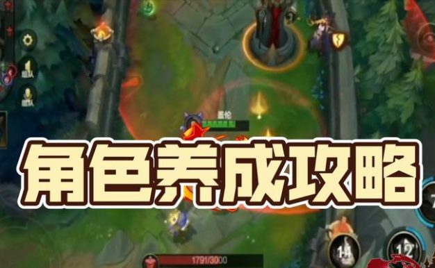 手游辅助猫咪出装顺序攻略（从新手到高手，轻松玩转猫咪战队！）