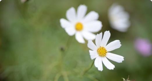 《超神无双手游攻略大揭秘》(一统江湖,指尖间的无敌之旅!)