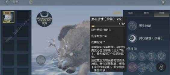 《妄想山海》游戏陨铁获取攻略（轻松获取陨铁，打造最强武器！）