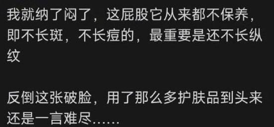 唐宋猫咪出装攻略,玩转最新潮流(一键get时尚宠物look,萌化你的眼球!)