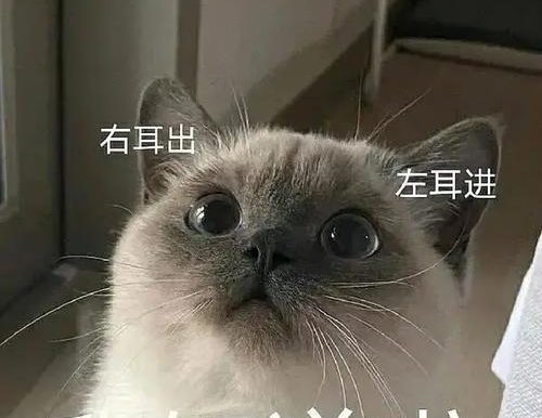 探索无尽荣光（深入了解HP无上荣光的游戏玩法和技巧，成为真正的荣耀玩家！）