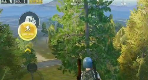 和平精英怎么树上,树上生存技巧解析，教你轻松攀爬与藏匿