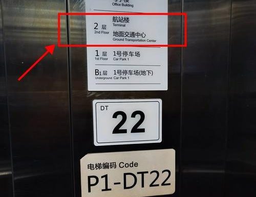 揭秘全明星脱衣雀攻略（深入探索全明星脱衣雀表演的秘密，全面解析背后的技巧与策略）