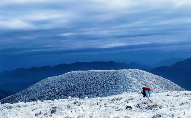雪原骑士手机版攻略（深入解析雪原骑士角色装备及技巧，助你在战场上游刃有余）