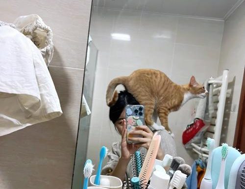 本宫五官出装铭文攻略(打造完美角色形象,攻无不克!)