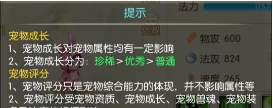 仙语后期宝宝攻略(掌握关键技巧,助力宝宝成长)