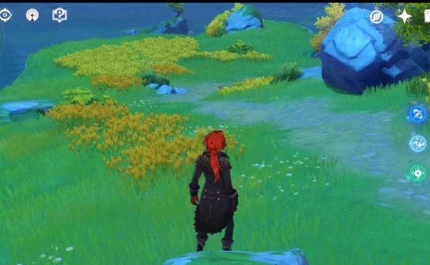 《原神蝴蝶翅膀收集攻略》（探索大陆，收集稀有翅膀，助你飞跃战斗之巅！）