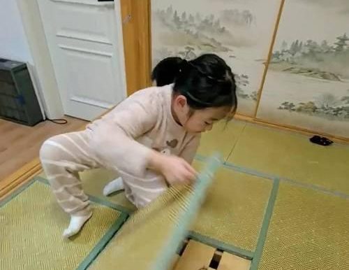 躲猫猫游戏攻略(探秘躲猫猫游戏中的高级藏匿技巧,让你成为终极躲猫猫冠军!)