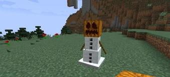 我的世界如何做雪块别墅,打造冬日童话家园