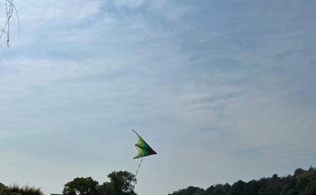 冰魂攻略（Dota1中冰魂的装备选择与技巧）