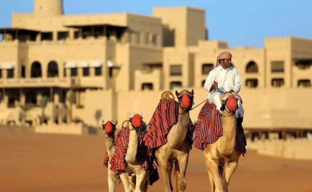 沙漠绿洲对抗游戏攻略（利用环境优势与合理布局实现对抗游戏的胜利）