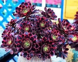 超维对决法师操作技巧详解（玩转法师，成为对决之王）