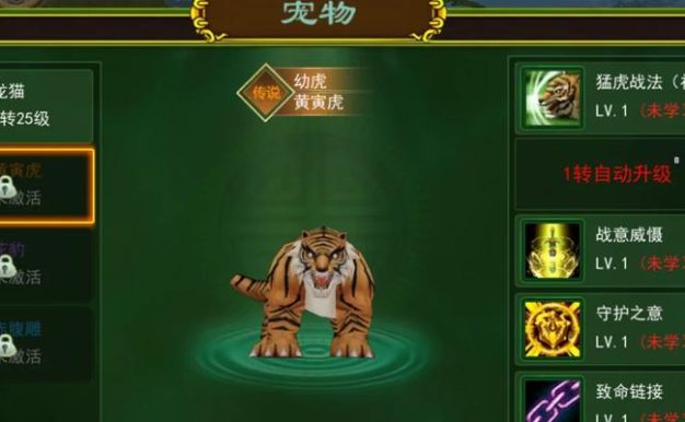 江湖宠物攻略(从养成到进阶,绝密攻略带你进入宠物世界)