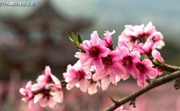 江湖酉初任务攻略（以模拟游戏为主，教你如何完成酉初任务）