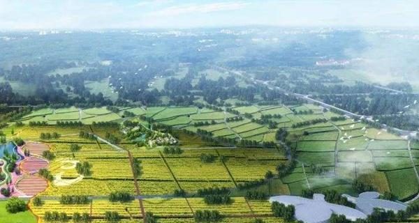 黄鸡攻略(打造最强黄鸡战队,装备选择不能掉以轻心)