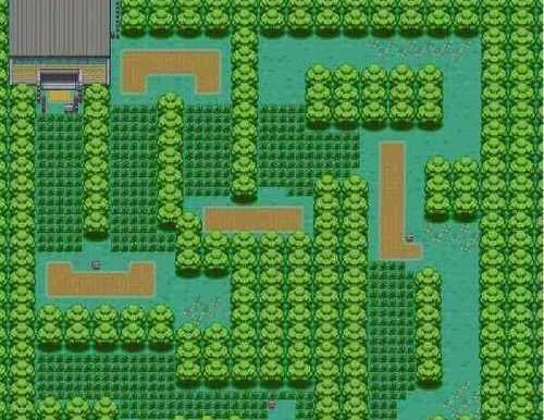 探索叶绿世界（攻略、秘籍、技巧、宝可梦、冠军）