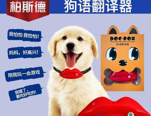 动物发声器游戏攻略(发现动物的声音,猜猜它们是谁!)