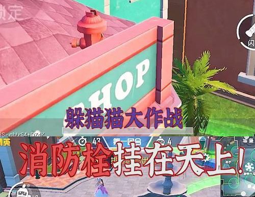 《和平精英》躲猫猫模式玩法攻略(一探躲猫猫模式规则,让你玩转这个隐藏玩法)