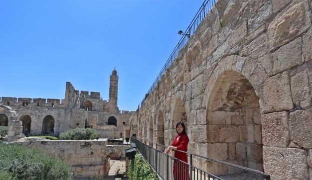 玫瑰之城游戏攻略(玫瑰之城游戏攻略,带你揭秘隐藏任务和珍贵道具)