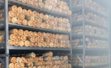 滑子菇栽培攻略（掌握滑子菇的种植技巧，享受丰收的喜悦）