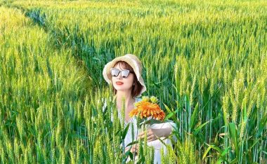 咖啡蛮王出装攻略大全(详细解析咖啡蛮王的最佳装备选择和技巧)