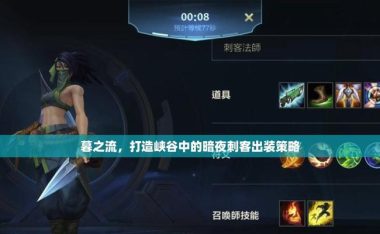 刀锋相见(如影随形,以辅助刺客战胜对手)