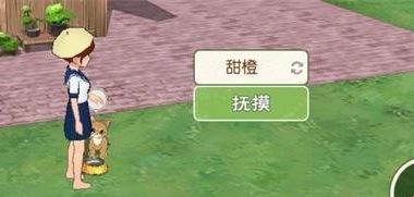 小森生活服装获取攻略（探索游戏内途径，解锁独特时尚风格）