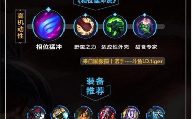 手游猴子出装教程攻略视频(全面解析猴子出装策略,提升游戏实力,让你成为最强猴子玩家)