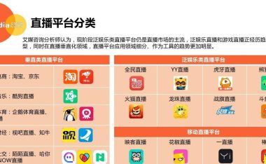 《以赛恩出装手游攻略视频,让你轻松掌握最强装备》(为你提供详细的出装攻略,让你在游戏中一展神威)