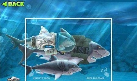 《超维对决》鲨鱼丸最强出装推荐（优化输出和生存能力鲨鱼丸的完美装备选择）