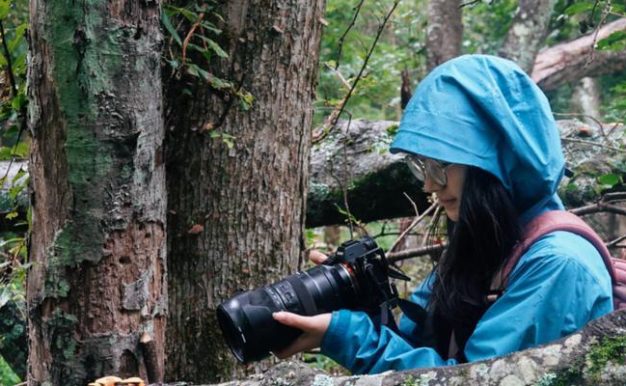 探秘第二银河新欧联邦T1山猫级护卫舰(以游戏为主,了解护卫舰技术数据与功能)