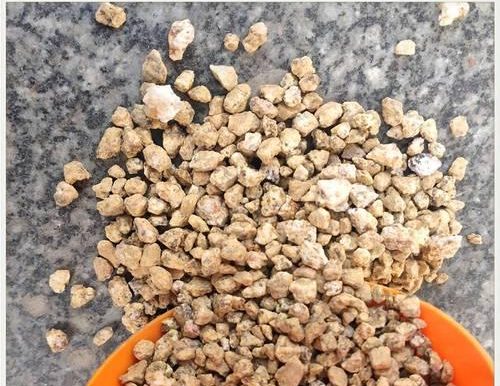 《以诺加尔德净化石攻略》(商人位置、获得方式详解!)