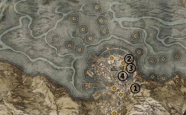 《探究艾尔登法环新版极致出血流玩法》（深入了解艾尔登法环新版的流畅与挑战）