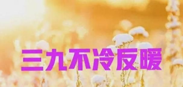 暖雪水银圣物强度评测(游戏玩家必看!水银是否值得你的选择?)